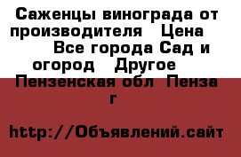 Саженцы винограда от производителя › Цена ­ 800 - Все города Сад и огород » Другое   . Пензенская обл.,Пенза г.